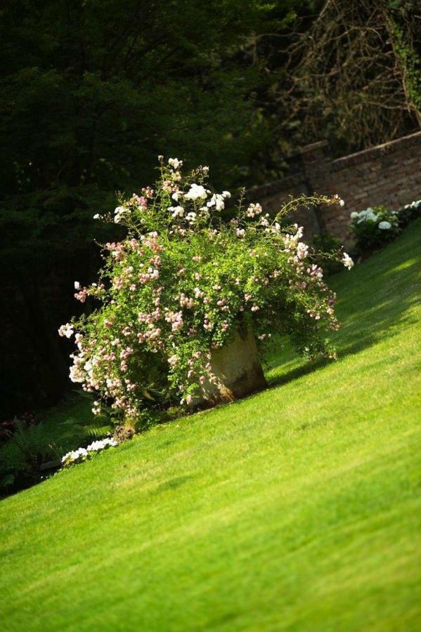 Villa La Maggiorana Rivoli  Bagian luar foto