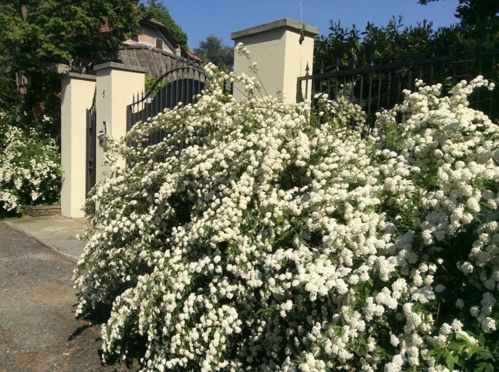 Villa La Maggiorana Rivoli  Bagian luar foto